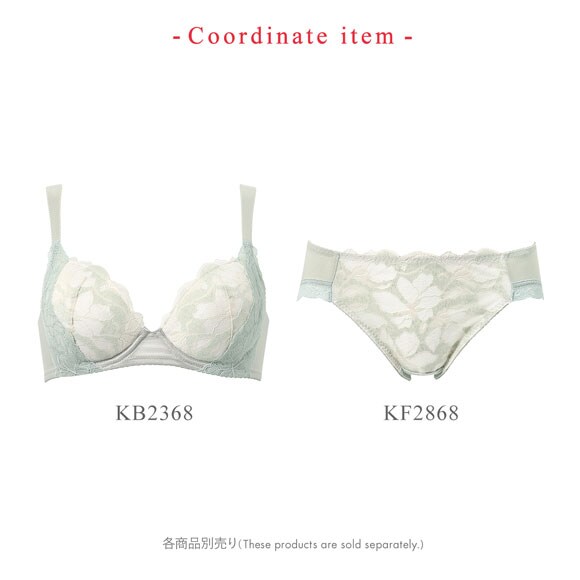 ワコール ウイング KF2868 もちっとふわっとブラ ショーツ ML2L ハイレッグ Wacoal Wing