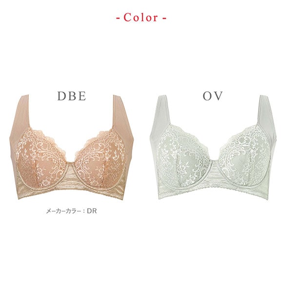 ワコール Wacoal ウイング Wing 脇高 脇胸から背中まですっきりスムージング ブラジャー 3/4カップ CD NB2724 単品