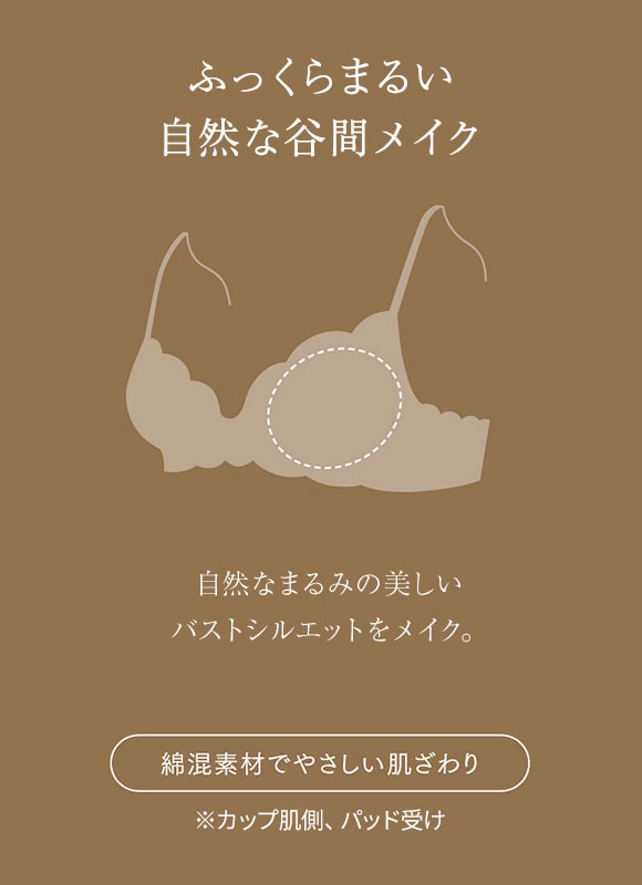 ウイング レシアージュ 2120シリーズ ブラジャー BC ふっくらまるい自然な谷間 Wing Lesiage PB2120 25SS