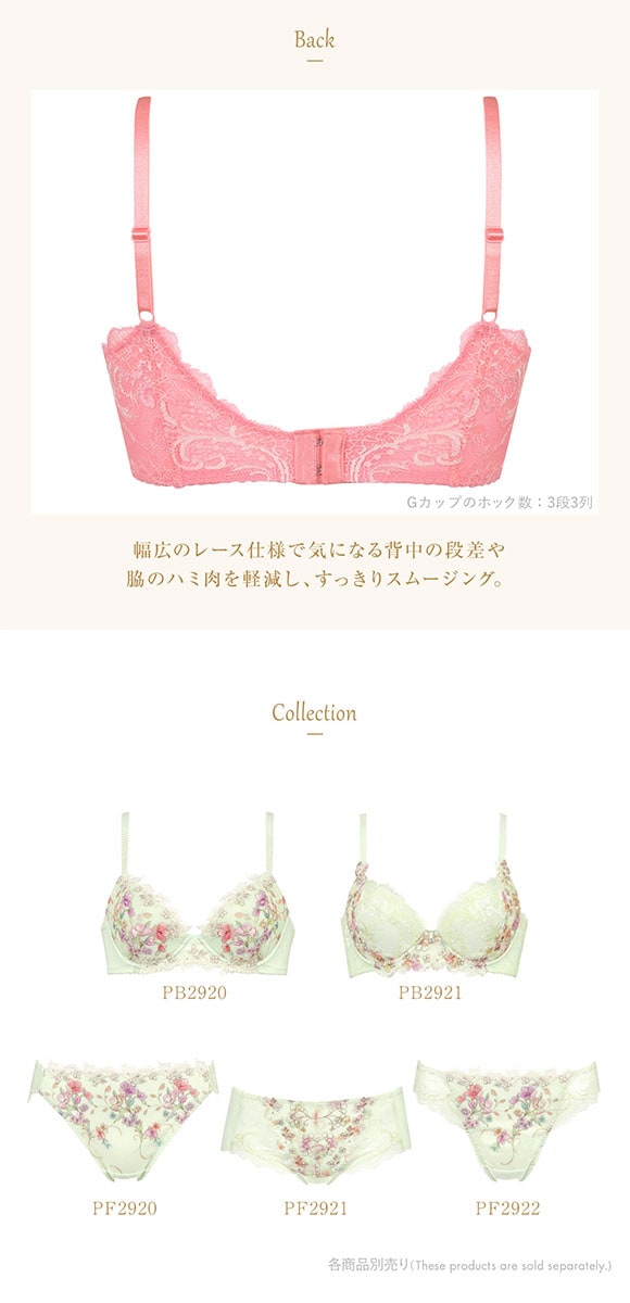 ウイング Wing レシアージュ Lesiage 24SS 2920シリーズ ブラジャー 脇すっきり 着やせフィット G 単品