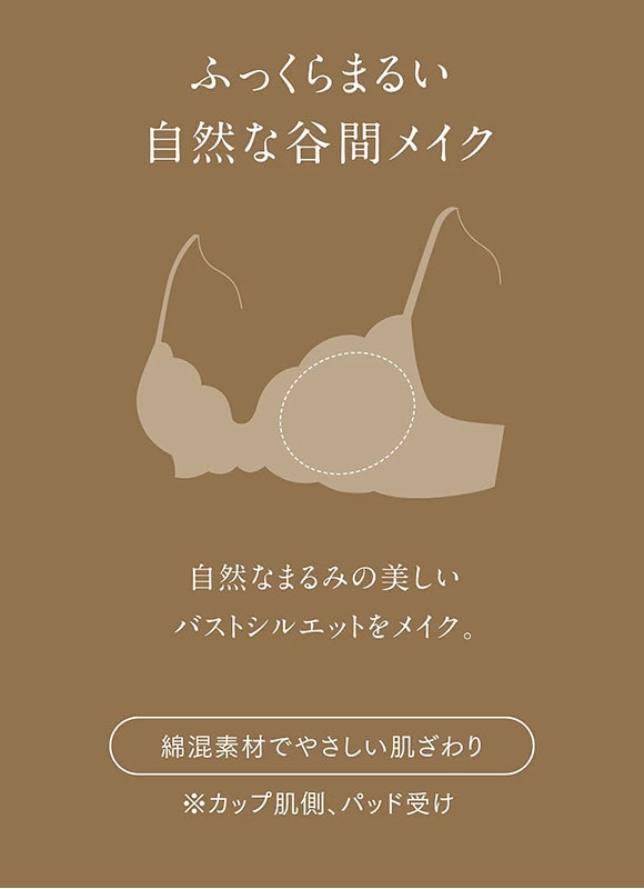 ウイング Wing レシアージュ Lesiage 24AW 2960シリーズ ブラジャー BC ふっくらまるい自然な谷間をメイク PB2960 単品