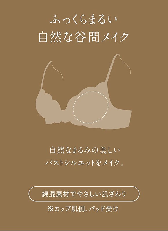 ウイング Wing レシアージュ Lesiage 24AW 2960シリーズ ブラジャー DEF ふっくらまるい自然な谷間をメイク PB2960 単品