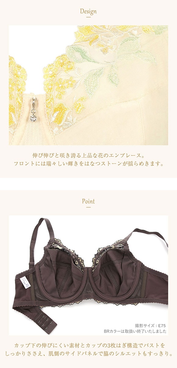 ウイング Wing レシアージュ Lesiage ChouChou de Lesi PB5000 フルカップブラジャー DEF 単品