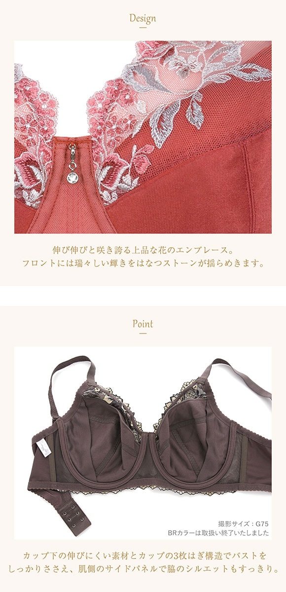 ウイング Wing レシアージュ Lesiage ChouChou de Lesi PB5000 フルカップブラジャー GH 単品