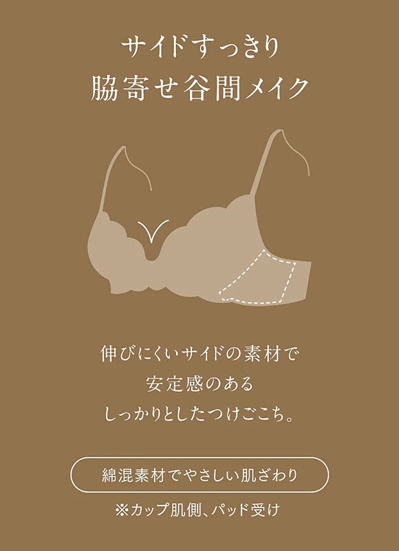 ウイング レシアージュ ブラジャー 3/4カップ G 大きいサイズ サイドすっきり Wing Lesiage 6000G