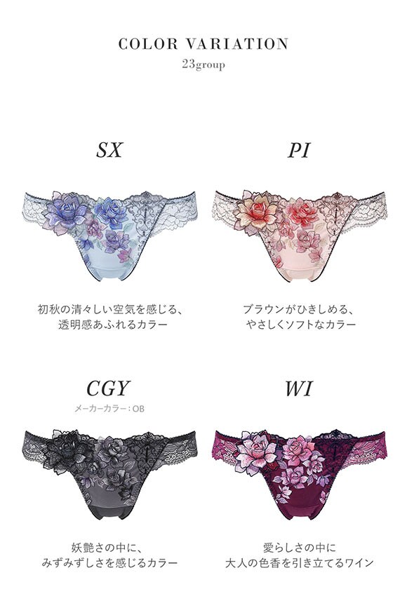 ワコール サルート 23グループ 23G Tバックショーツ ML ソング バックレース Wacoal Salute PTJ423 25AWフェア