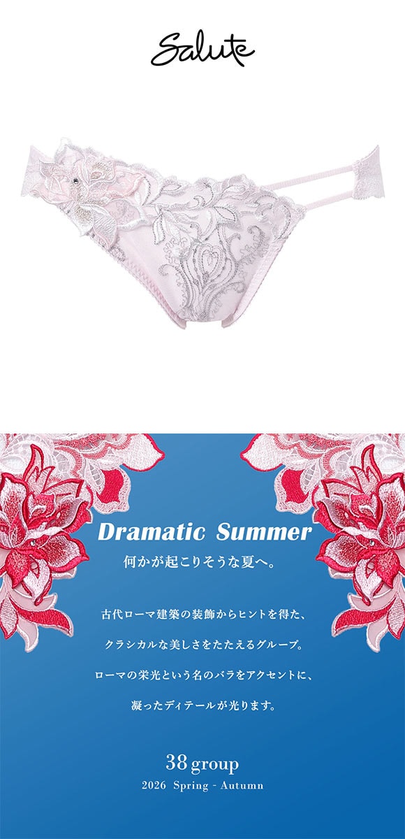ワコール サルート 38グループ 38G ショーツ スタンダード LL 大きいサイズ ハイレッグ Wacoal Salute PTJ738 26SSブライト