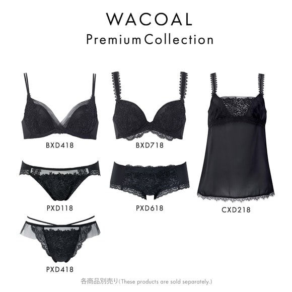 ワコール プレミアム 18series BXD418 PXD418 18G ショーツ Tバック M バックレース Wacoal