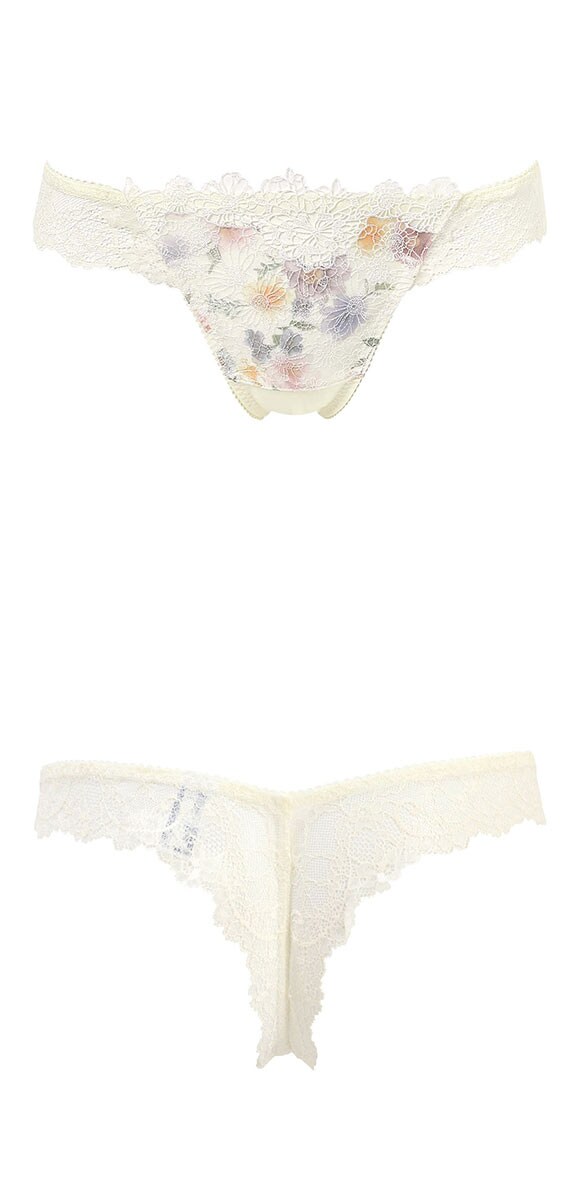 ワコール プレミアム 25series BXD425 BXD725 25G ショーツ Tバック M バックレース Wacoal