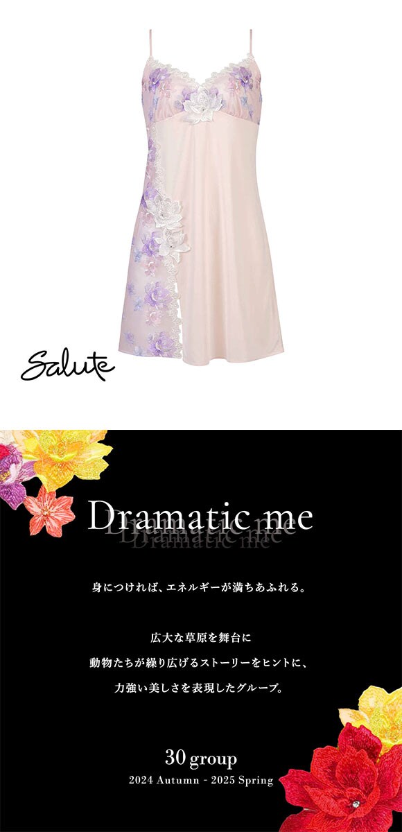 ワコール Wacoal サルート Salute 30G スリップ ランジェリー ML スタンダードシルエット 下着 STJ230 24AW フェア