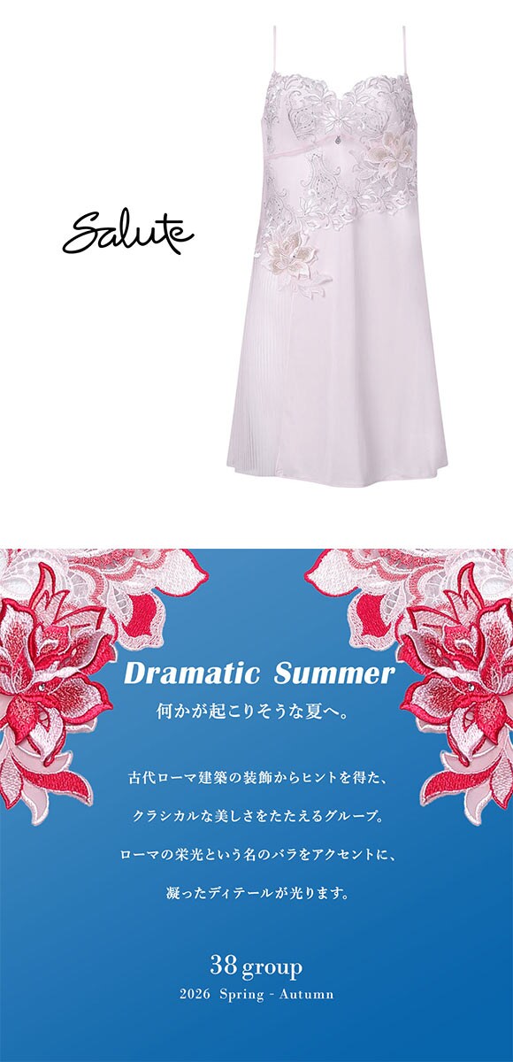 ワコール サルート 38グループ 38G スリップ ランジェリー LL スタンダードシルエット Wacoal Salute STJ238 26SSブライト