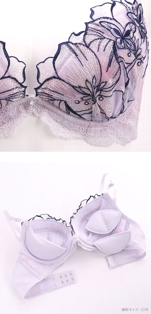 セントオードリー St.Audrey tiara ピュア グラデーション バタフライ SHIROHATO別注 ブラジャー ショーツ セット バックレース