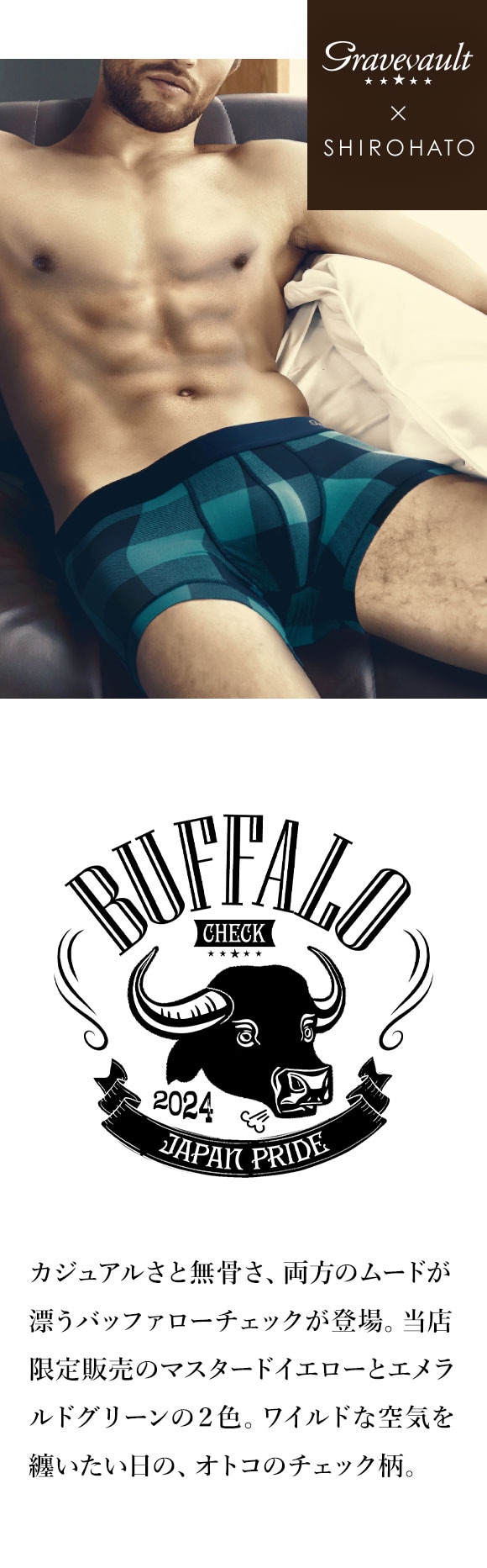 グレイブボールト Gravevault×SHIROHATO 別注 限定カラー Buffalo Check Tバック ビキニ  ML メンズ 前とじ