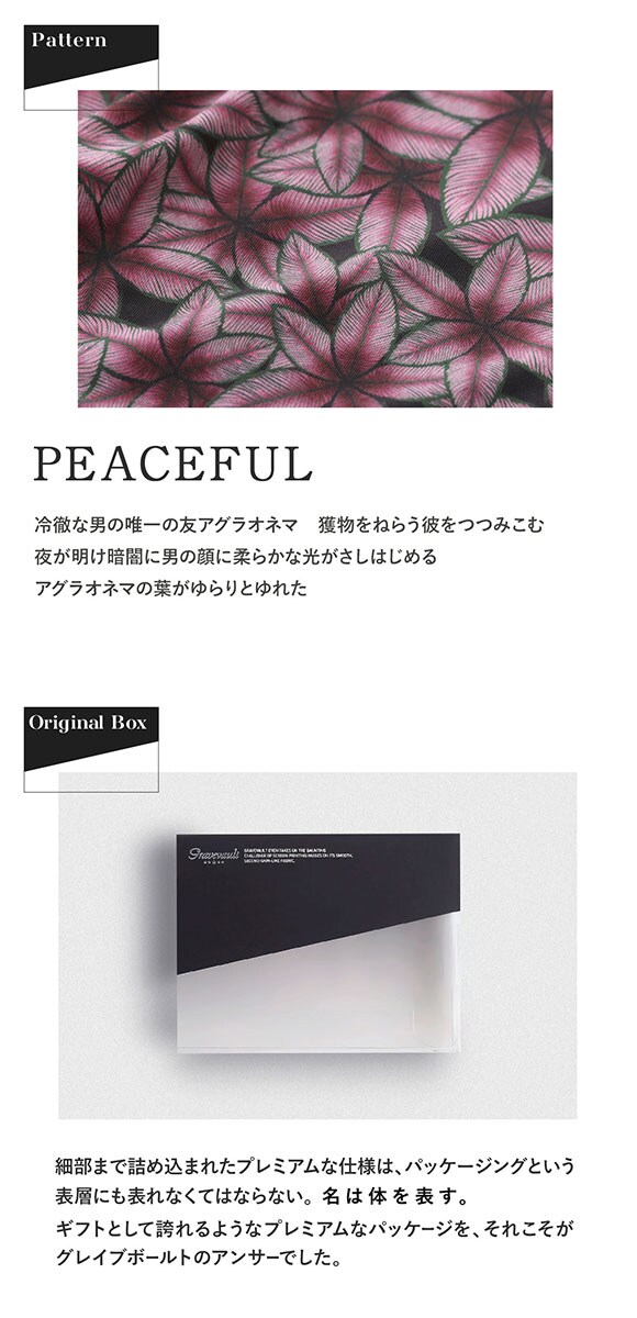 グレイブボールト PEACEFUL Tバック ビキニ ブリーフ ML メンズ 前閉じ 日本製 Gravevault