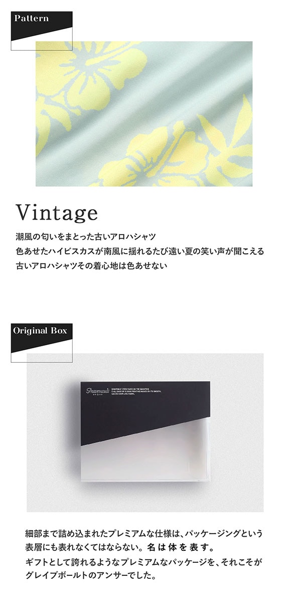 グレイブボールト Vintage Tバック ビキニ メンズ 前とじ M L 日本製 Gravevault