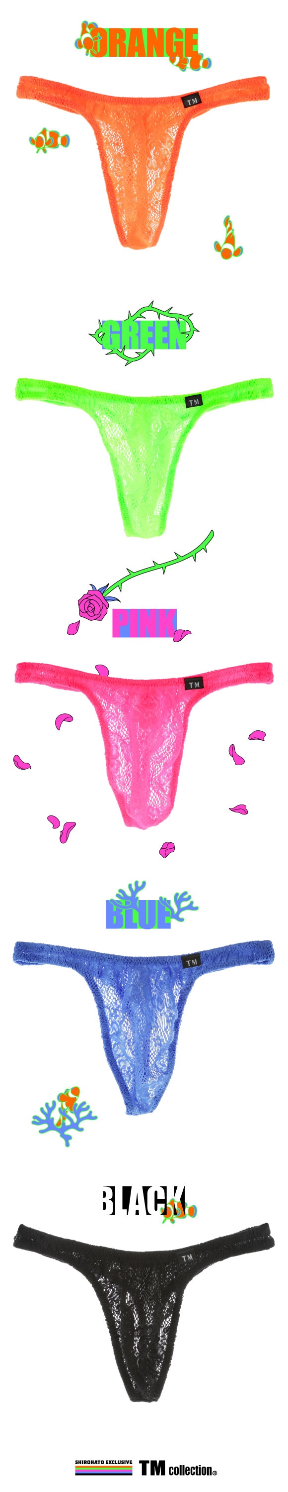 ティーエム コレクション TM collection × SHIROHATO コラボ ウーリーレース 股下細め Tバック ビキニ M L LL