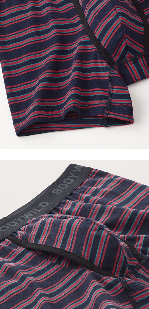 グンゼ BODY WILD ボーダー柄 ボクサーパンツ メンズ 綿混 前あき GUNZE ボディワイルド