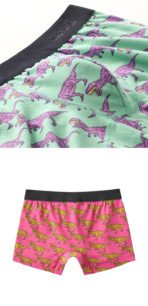 グンゼ BODY WILD T.Rex柄 ボクサーパンツ 前閉じ メンズ 綿混 GUNZE ボディワイルド