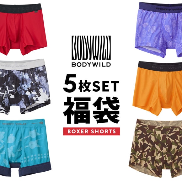 グンゼ BODY WILD ボクサーパンツ お楽しみ福袋 5枚セット メンズ アンダーウェア GUNZE ボディワイルド 大きいサイズ