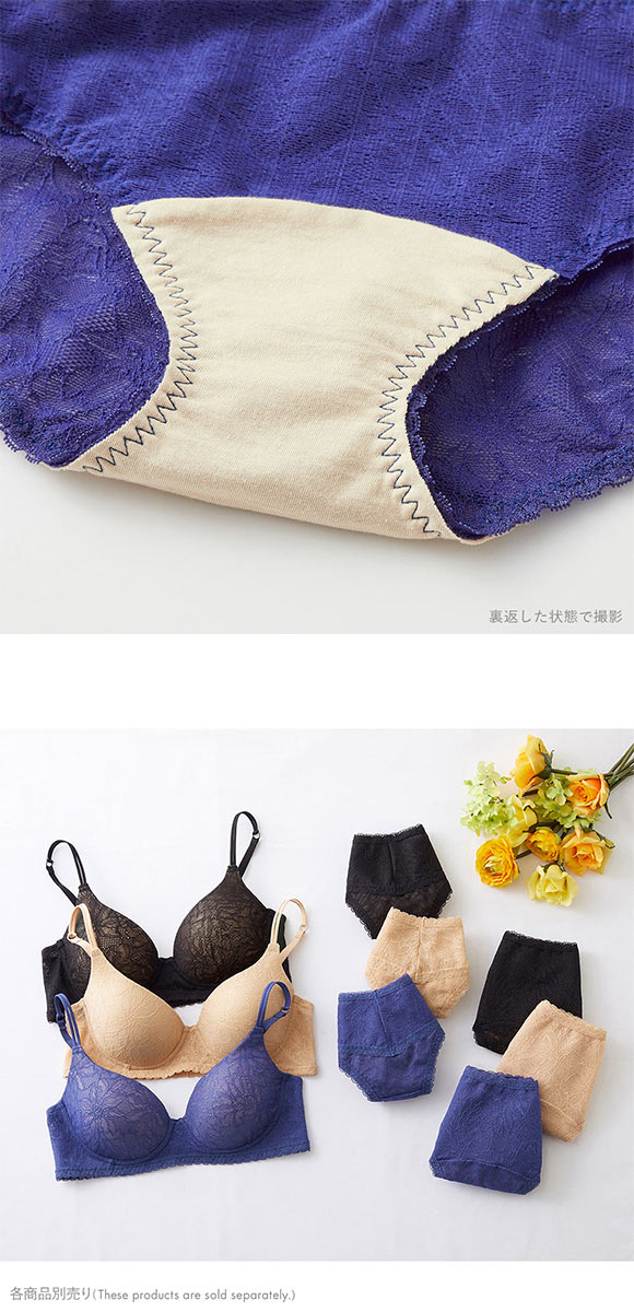 グンゼ GUNZE トゥシェ Tuche more more sheer BRA ペアショーツ スタンダード レギュラー 単品