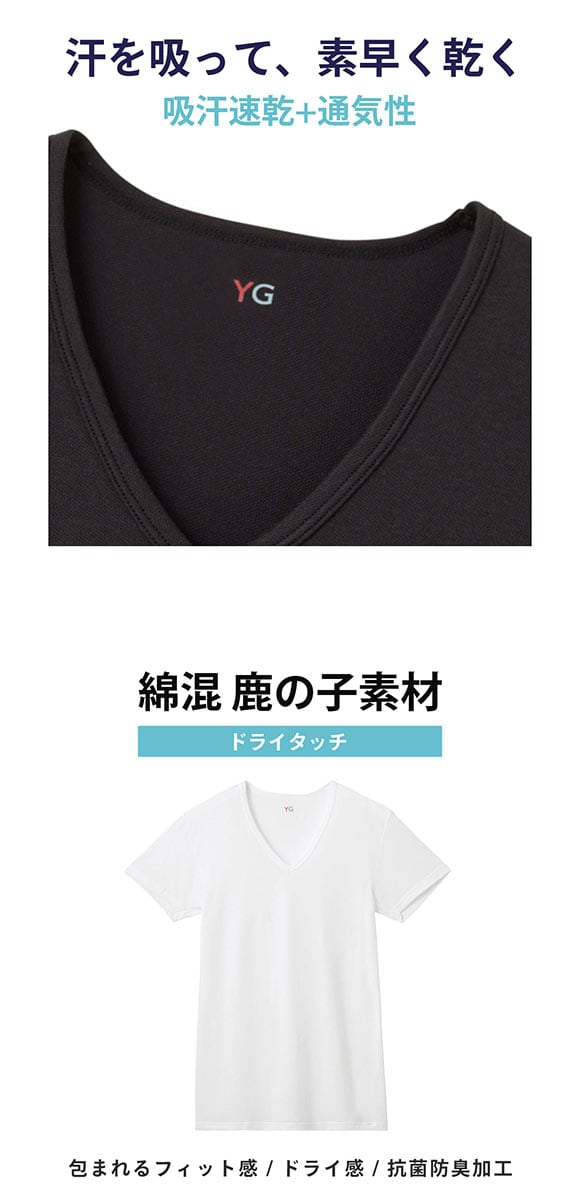 グンゼ YG ドライタッチ 鹿の子 Vネック Tシャツ 2枚セット メンズ インナー クール GUNZE ワイジー