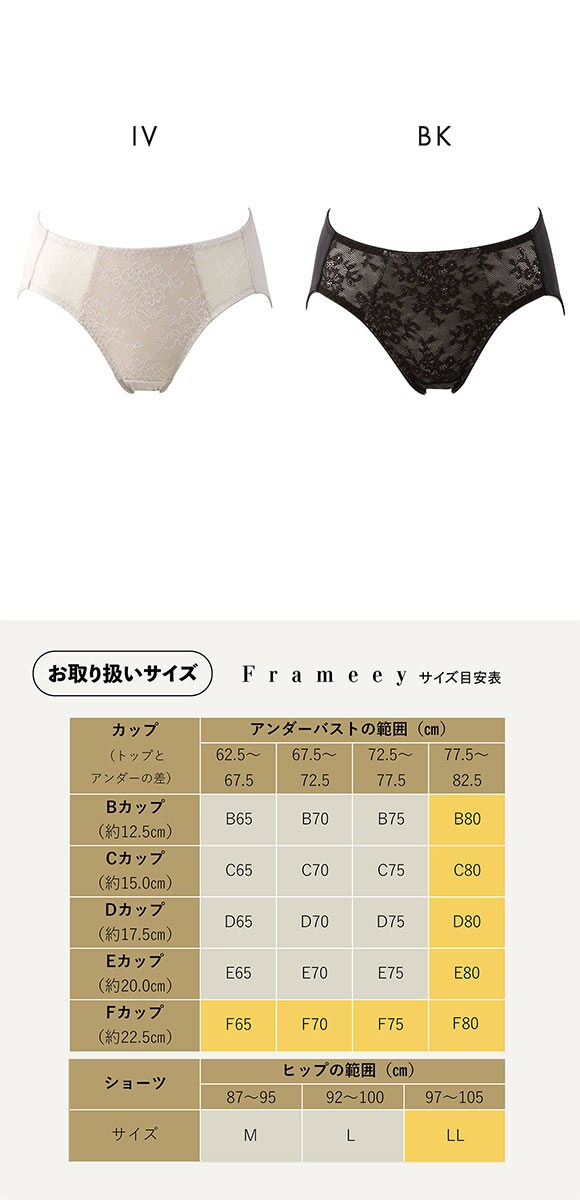 ルシアン Frameey 骨格ブラ ペアショーツ レギュラー スタンダード M L LL LECIEN フレーミー