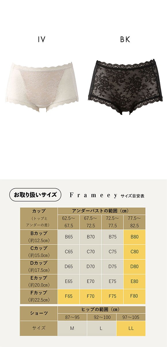 ルシアン Frameey 骨格ブラ ボーイズ ペアショーツ 総レース M L LL LECIEN フレーミー