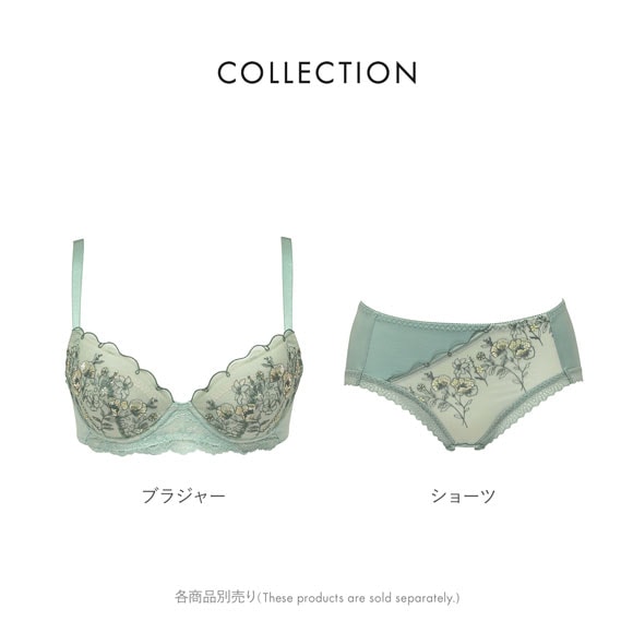 ルシアン ふんわりUPブラ ペアショーツ ショーツ スタンダード M L LL LECIEN