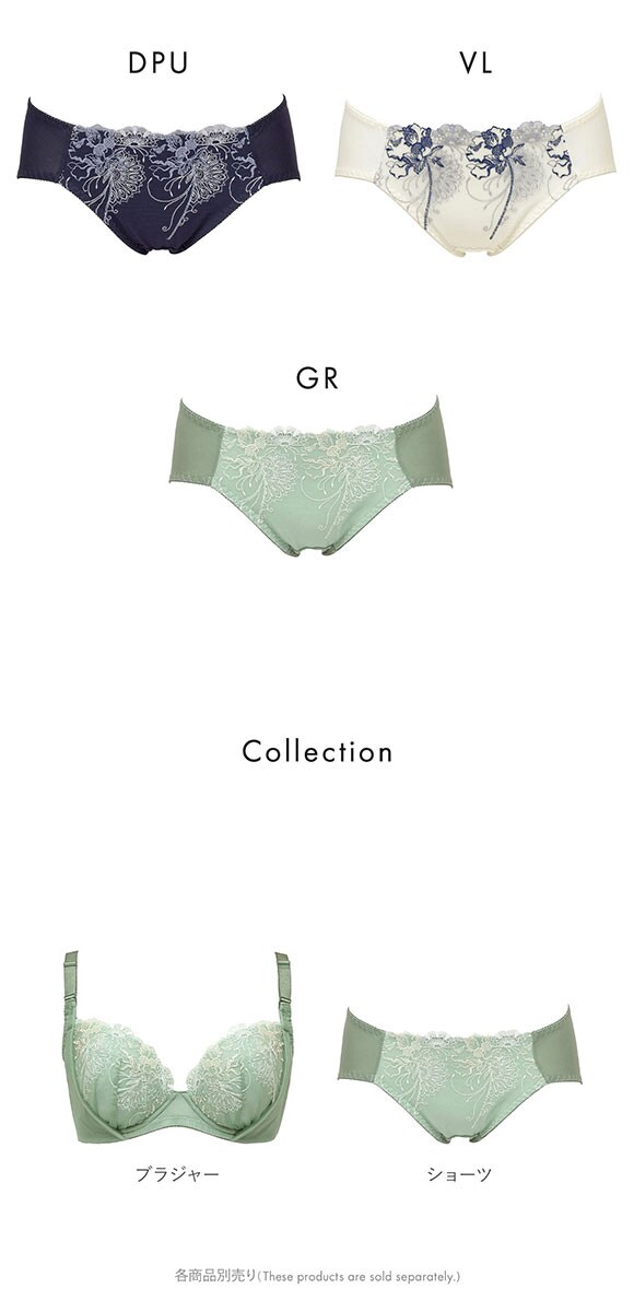 ルシアン 大きめバスト専用 コンパクト設計 ペアショーツ スタンダード M L LL 3L 大きいサイズ LECIEN