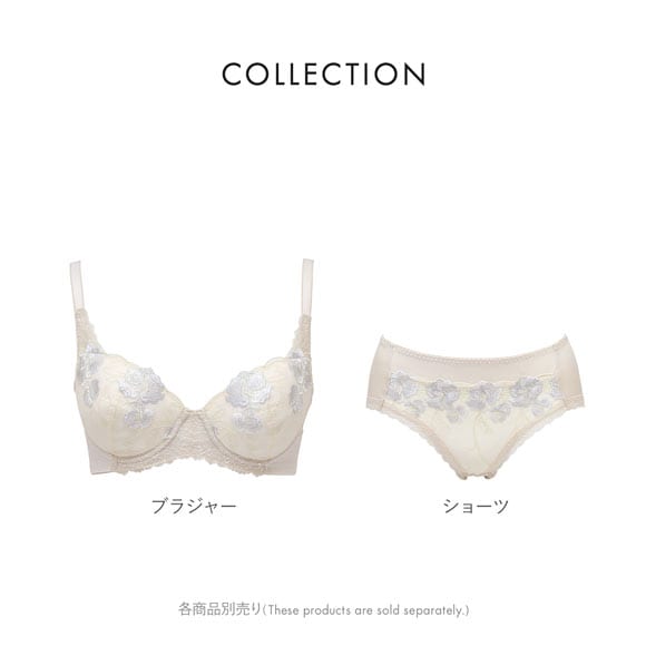 ルシアン キレイ魅せ 脇やせメイクブラ ペアショーツ スタンダード M L LL 大きいサイズ 履きこみ丈深め LECIEN