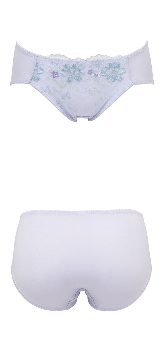 ルシアン 大きめバスト専用 コンパクト設計 ペアショーツ スタンダード M L LL 3L 大きいサイズ LECIEN