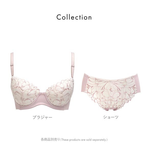 ルシアン キレイ魅せ 美背中メイクブラ ブラジャー 4/5カップ E 大きサイズ 脇肉 脇高 単品 下着 LECIEN