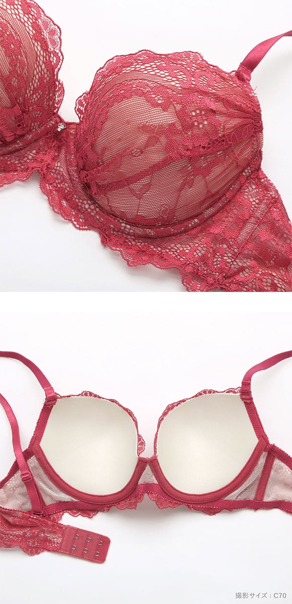 エレガント シアーエレガント総レース ブラセット ABCDEF 盛り胸 寄せ上げ 大きいサイズ Elegante