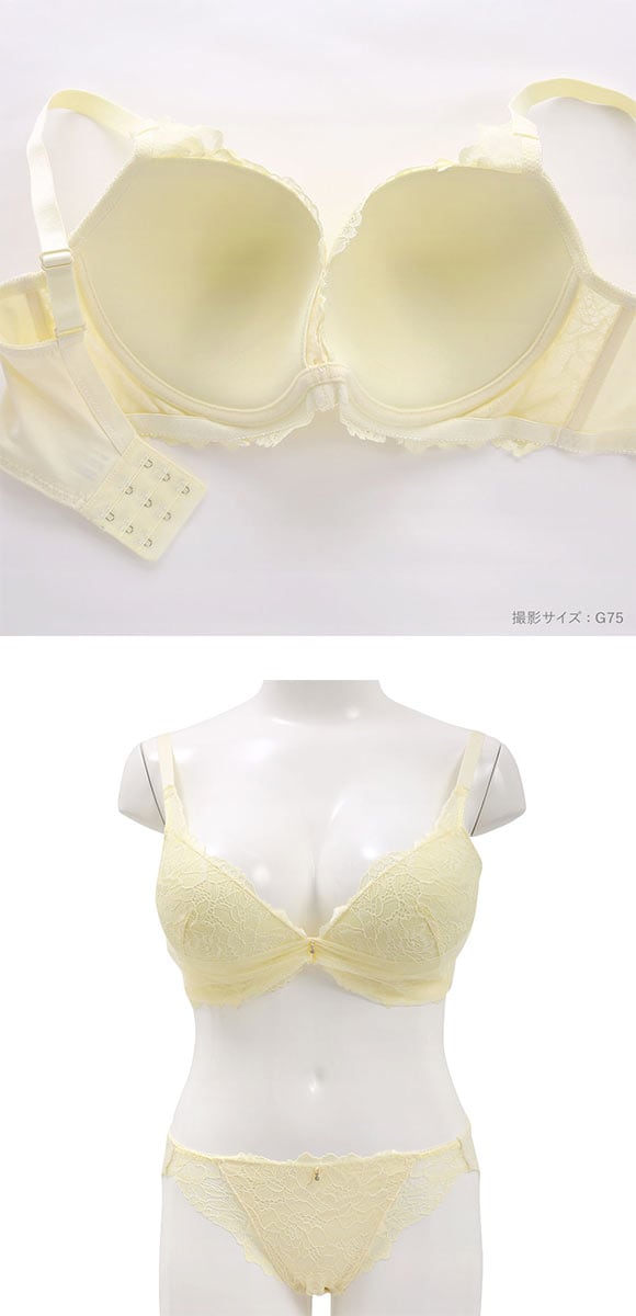 パンキュート レーシーヴェール ブラセット GHI65-95 大きいサイズ グラマー 脇高 谷間 寄せ 盛り胸 総レース ブラジャー ショーツ