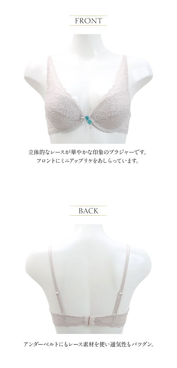 アンブラ ANNEBRA Casablanca IloveChange デコルテレース ブラジャー BCDEFG 大きいサイズ 単品