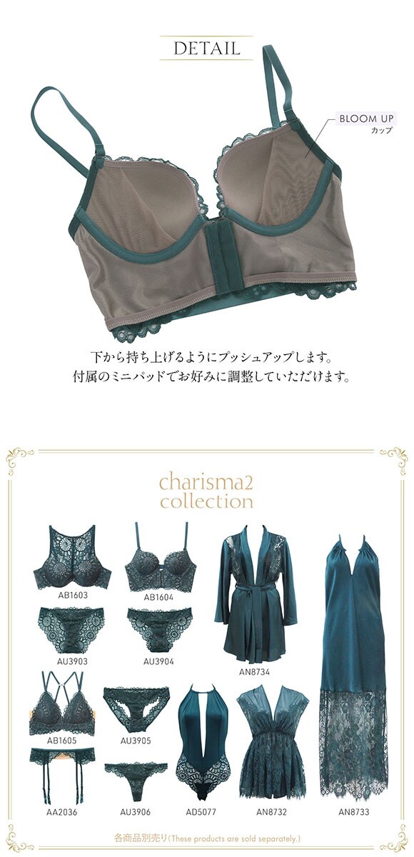 アンブラ ANNEBRA Charisma 2 ブラジャー バックコード フロントホック BCDEFG 大きいサイズ 単品