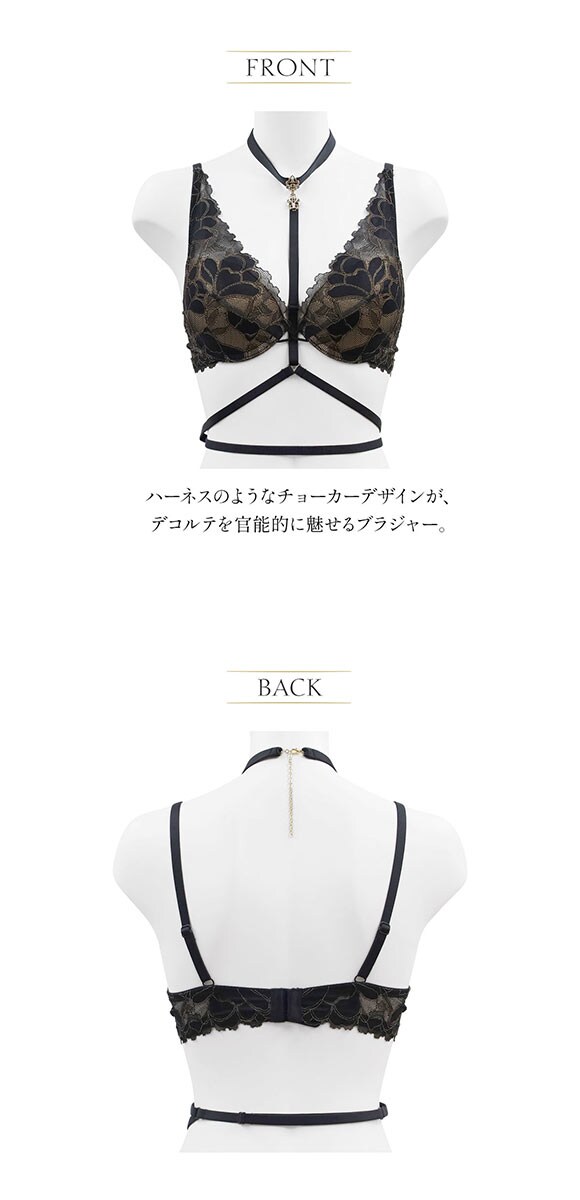 ブラジャー 大きいサイズ セクシー ハーネス付き  アンブラ Whispers デコルテレース モールドカップブラジャー ANNEBRA