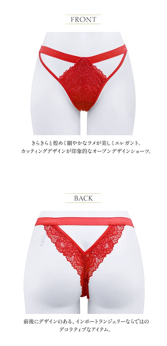 アンブラ ANNEBRA Love オープンデザイン ショーツ Tバック ソング 総レース 単品 セクシー ランジェリー インポート プレゼント 彼女