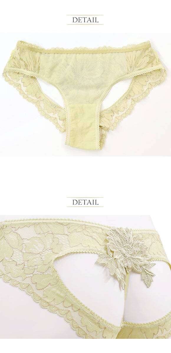 アンブラ Harmony in Bloom バックオープンデザインショーツ 大きいサイズ ANNEBRA