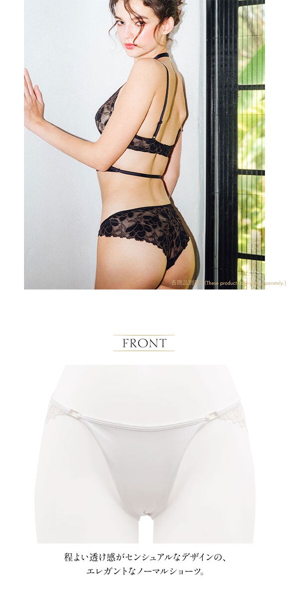 ショーツ レディース セクシー 大きいサイズ ノーマルショーツ アンブラ Whispers  レースショーツ ANNEBRA