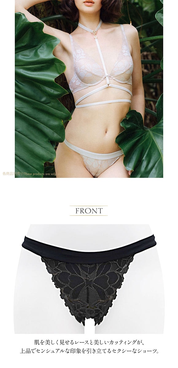 セクシー ショーツ 大きいサイズ レディース バックオープン ランジェリー アンブラ Whispers デザインショーツ ANNEBRA