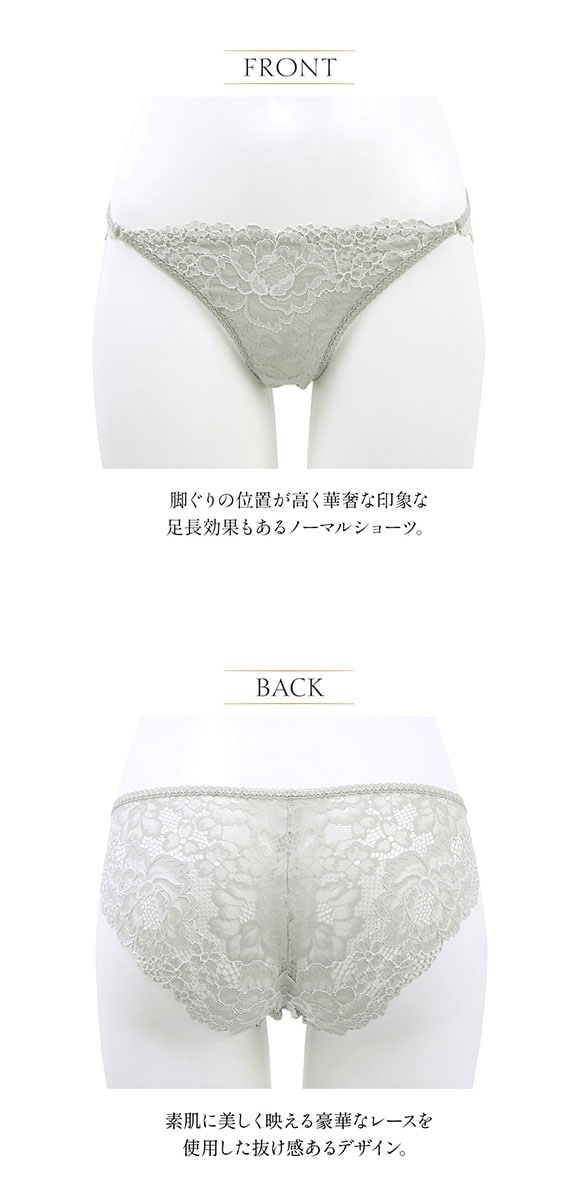 アンブラ ANNEBRA GLITZY 総レース ケミカル ショーツ スタンダード セクシー 単品