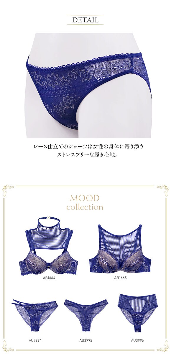 アンブラ ANNEBRA MOOD アシンメトリー レースショーツ スタンダード 総レース 単品