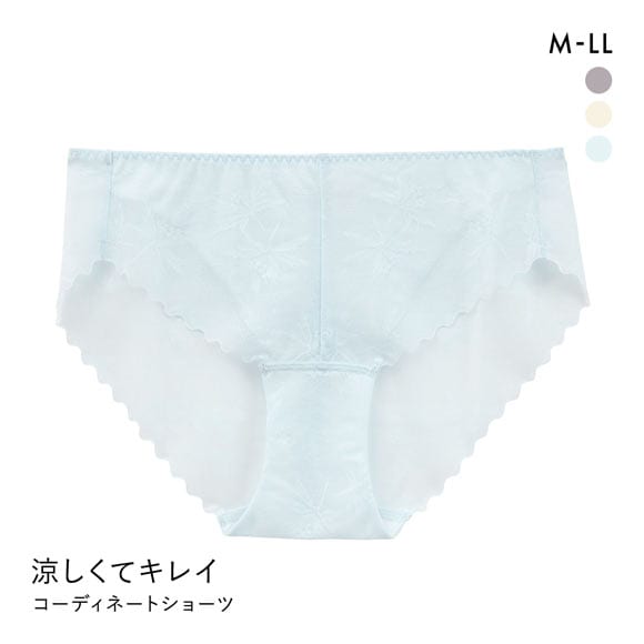 涼しくキレイ 涼感ブラ ペアショーツ レディース スタンダード ノーマル M L LL 大きいサイズ