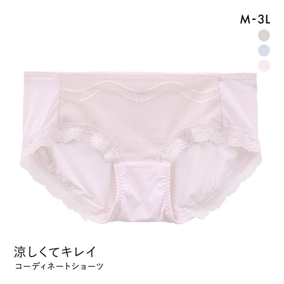 涼しくてキレイ 小胸メイクブラ ペアショーツ レディース スタンダード ノーマル M L LL 3L 大きいサイズ