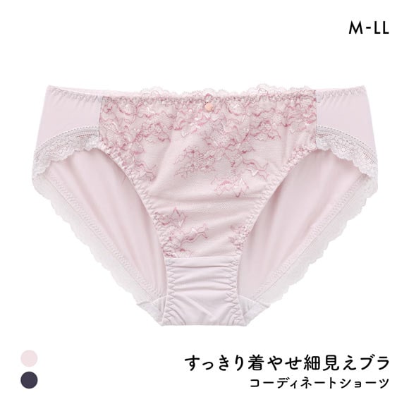 スッキリ細見えブラ ペアショーツ レディース スタンダード ノーマル M L LL 大きいサイズ