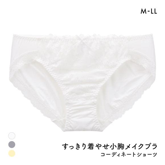 すっきり着やせブラ ペアショーツ レディース スタンダード ノーマル M L LL 大きいサイズ