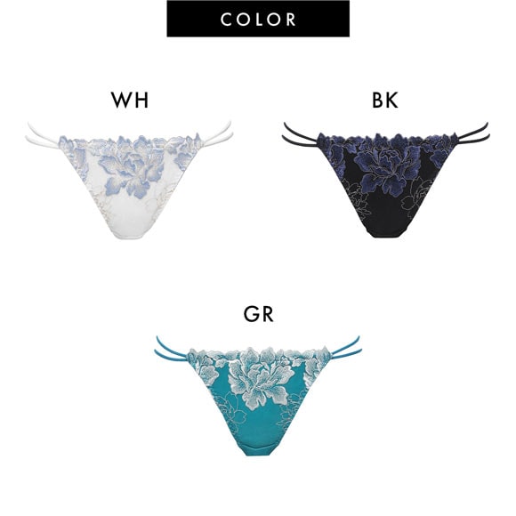 ラヴィジュール ルナリア エンブロイダリーレース ノーマルショーツ SM バックレース 透け RAVIJOUR