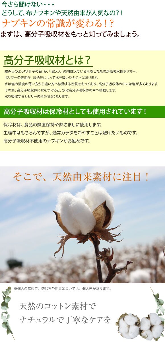 ナチュラムーン Natura Moon 生理用ナプキン 多い日の昼用 羽なし 18個入