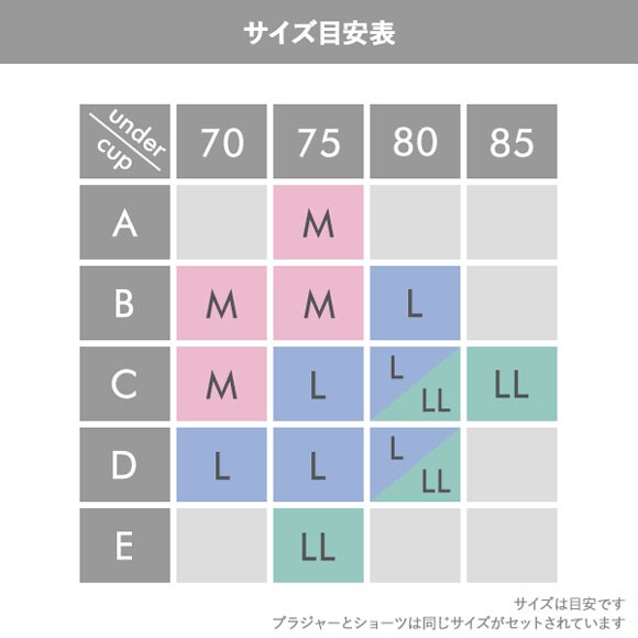 サンエイ サンエイ ビビットフラワー刺繍 ノンワイヤー ブラセット M L LL ブラジャー ショーツ セット 大きいサイズ SANEI
